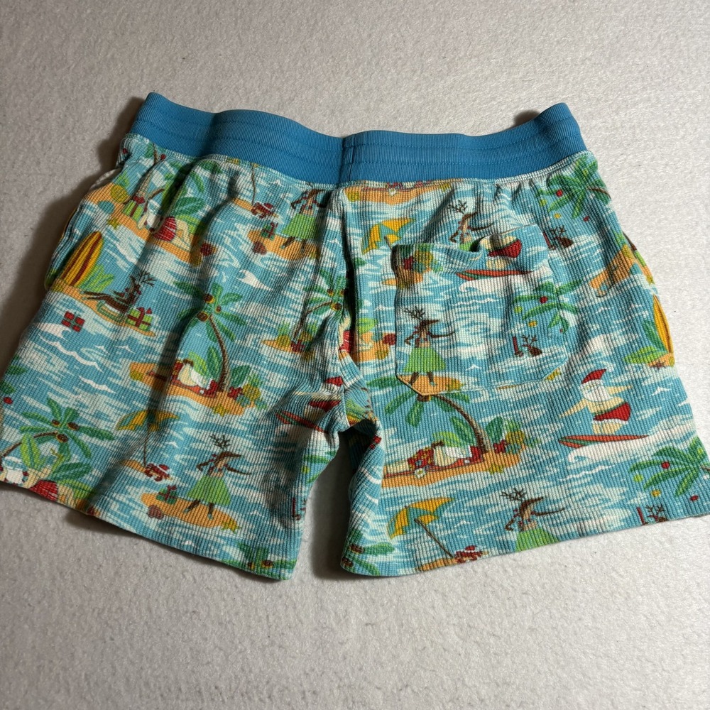 Chubbies Shorts Mens Small Tropical Christmas Santa Surf Swim‎ Beach - Picture 6 of 7
